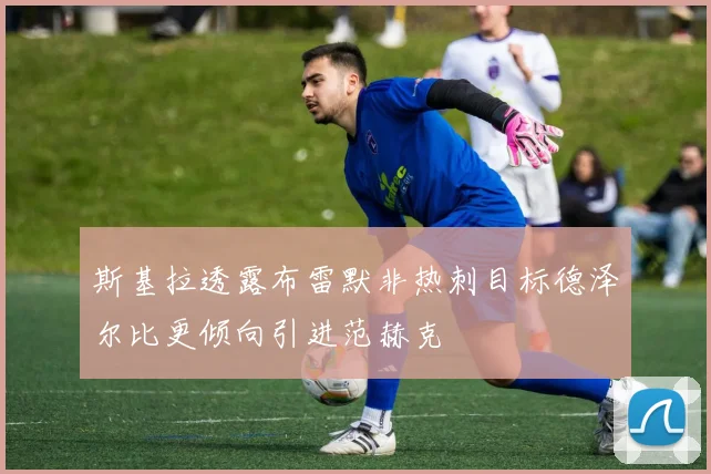 斯基拉透露布雷默非热刺目标德泽尔比更倾向引进范赫克