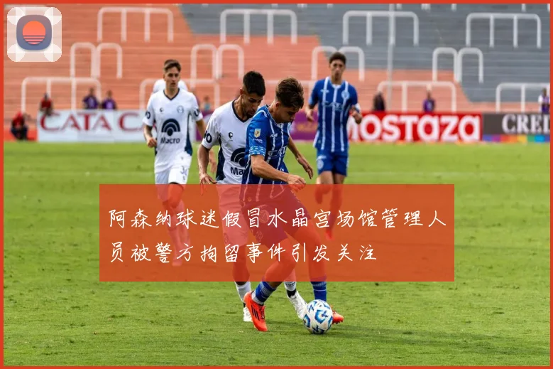阿森纳球迷假冒水晶宫场馆管理人员被警方拘留事件引发关注